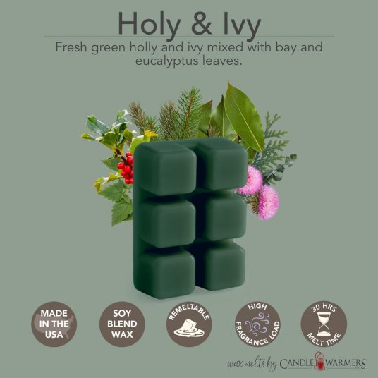 Eucalyptus & Pine Best Wax Melts Soy Wax Melts Scented Wax Cubes