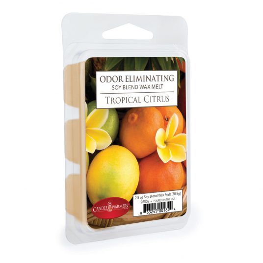 Exotic Fruit Smoothie Coconut Wax Melts