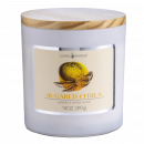 Sugared Citrus 14 oz. Limited Edition Candle
