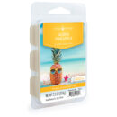 Aloha Pineapple Classic Wax Melts